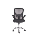 The Silla Brescia is a black ergonomic office chair featuring a mesh backrest, adjustable armrests, and a cushioned seat, complete with a five-star base and casters for easy mobility.