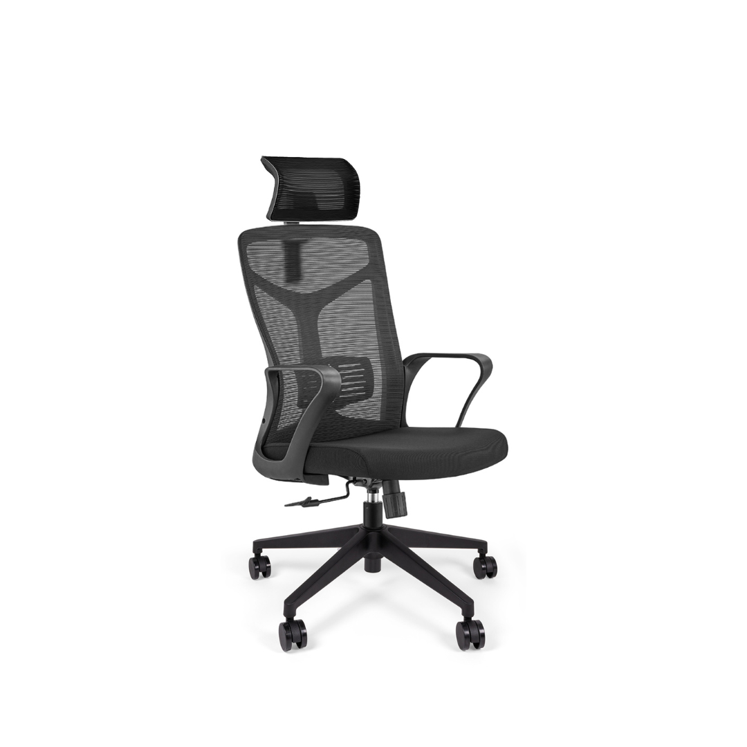 Silla Cantabria