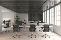 A modern office space features several empty workstations with black Silla Brescia mesh chairs and computer screens. Large windows on the right flood the room with natural light, while a plant is visible in the back corner.