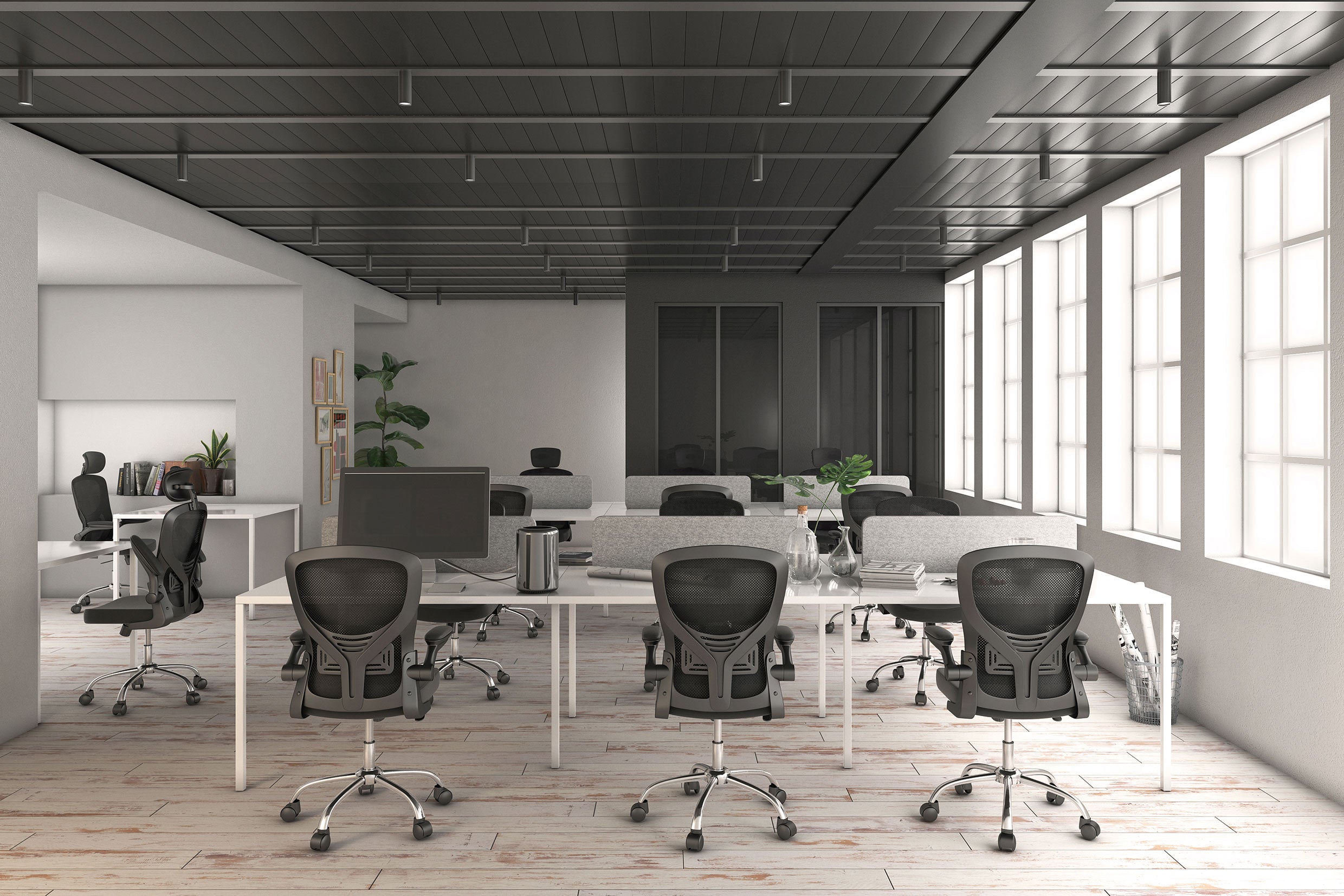 A modern office space features several empty workstations with black Silla Brescia mesh chairs and computer screens. Large windows on the right flood the room with natural light, while a plant is visible in the back corner.